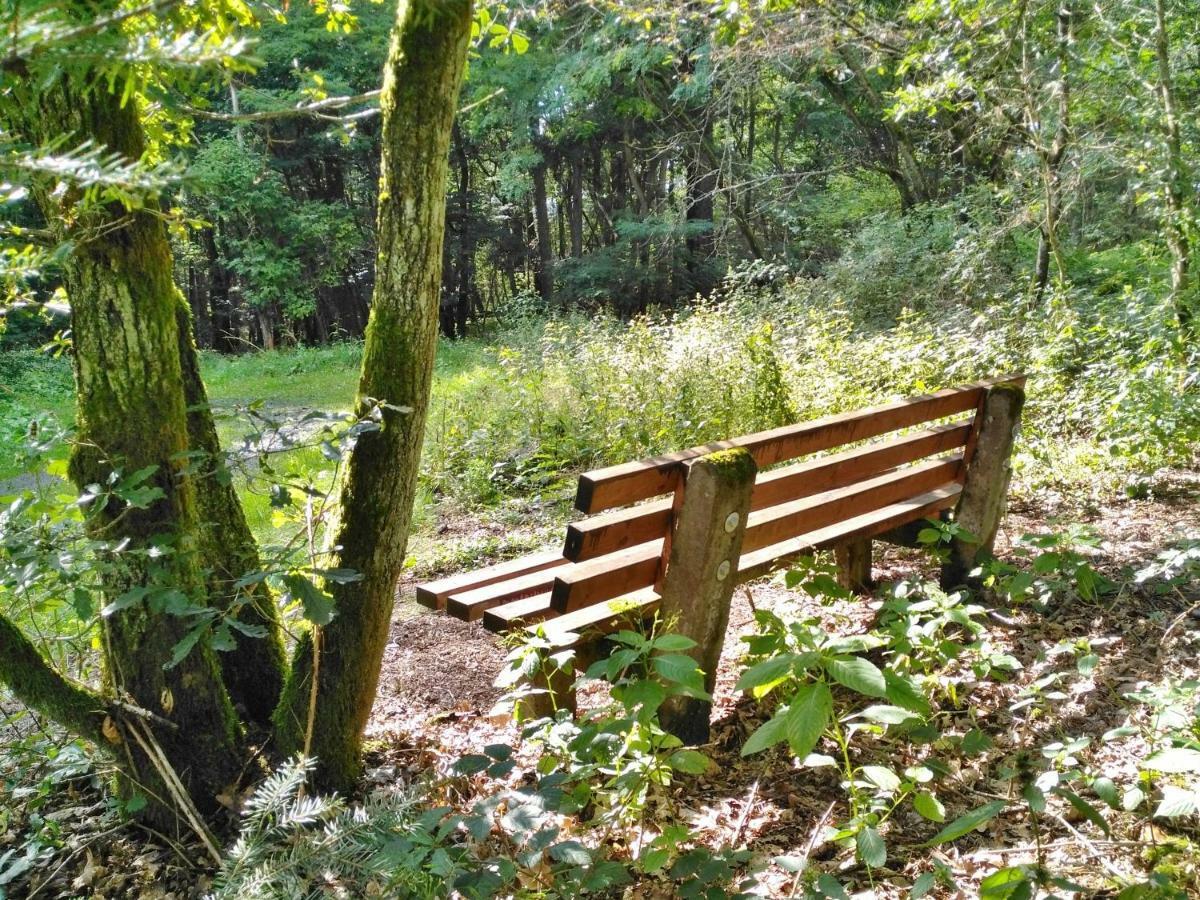 Fewo Well Gladenbach المظهر الخارجي الصورة